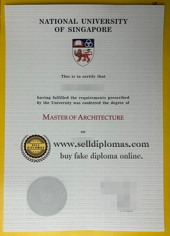 buy national university of singapore diploma