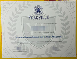 Sell fake yorkville university degree certificate online.