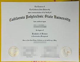 Sell fake California Polytechnic State University diploma