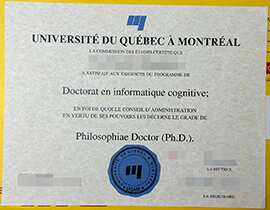 Buy universite du quebec a montreal diploma online