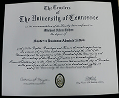 Where to buy University of Tennessee certificate?