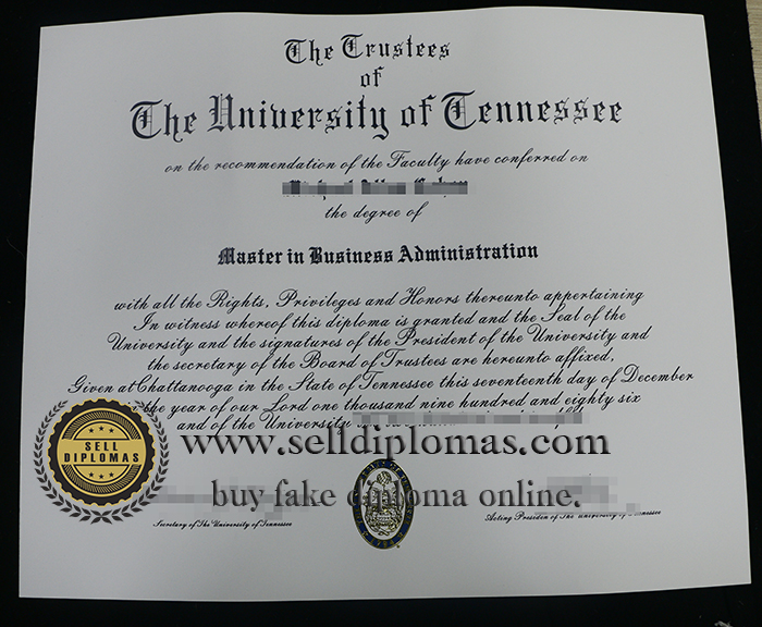 Where to buy University of Tennessee certificate?